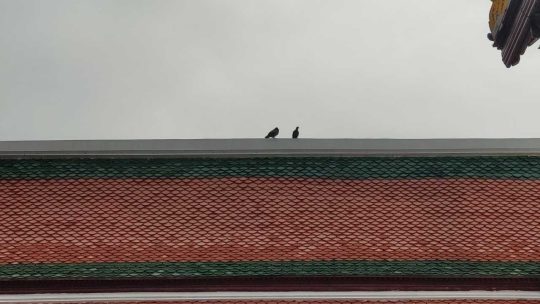 Thailand independent travel (food and scenic spot recommendations, not blindly following the trend), Thailand self guided travel guide